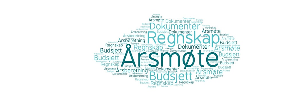 Ekstraordinært årsmøte